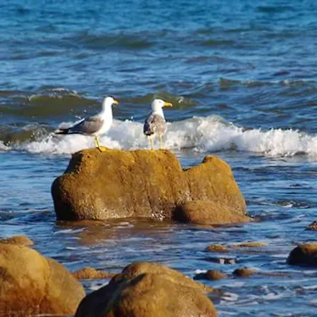 Hébergement de vacances Cozy House In + Terrace