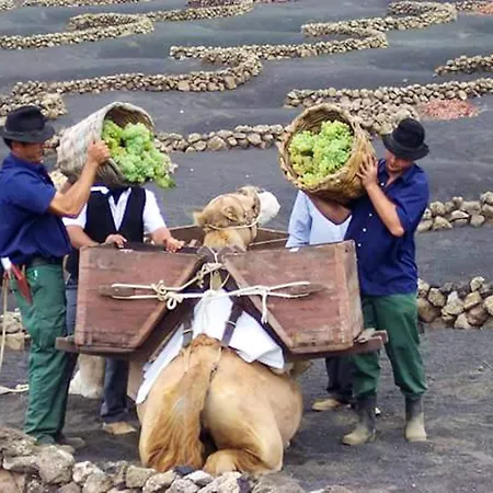 Cozy House In + Terrace Hébergement de vacances El Golfo