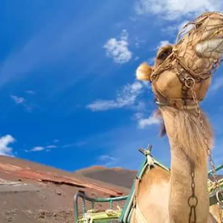 Cozy House In + Terrace * El Golfo