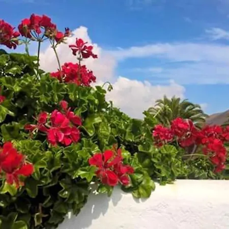 Dom wakacyjny Cozy House In + Terrace