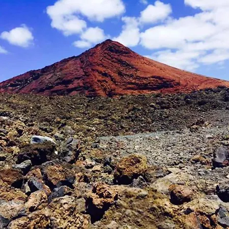 Dom wakacyjny Cozy House In + Terrace