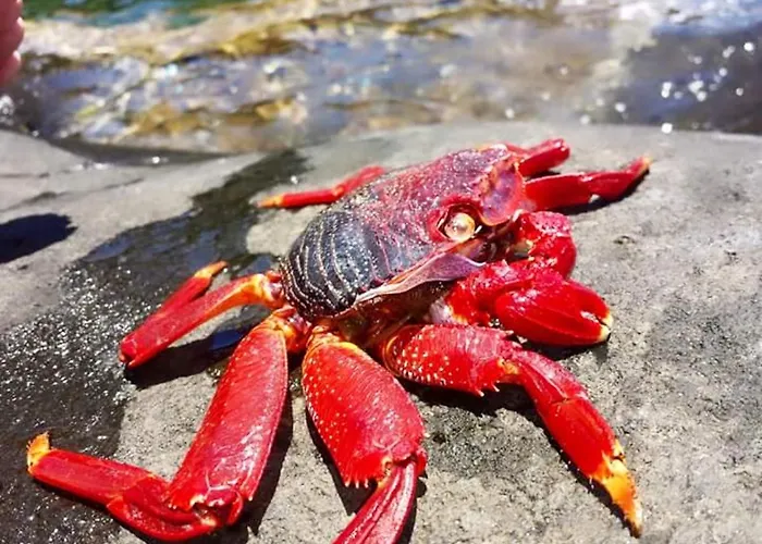 Cozy House In + Terrace