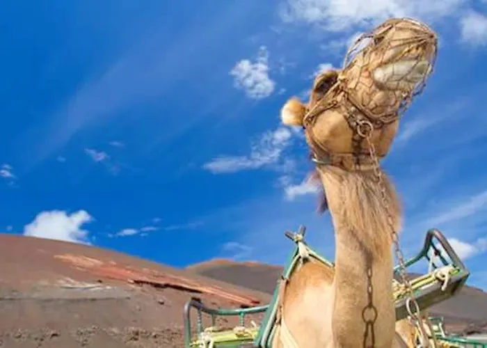 Cozy House In + Terrace * El Golfo