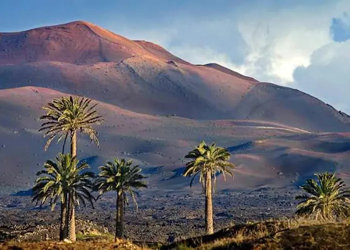 Cozy House In + Terrace Сasa de vacaciones *