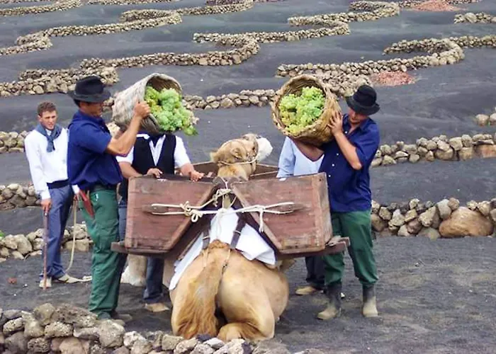 Cozy House In + Terrace Сasa de vacaciones El Golfo