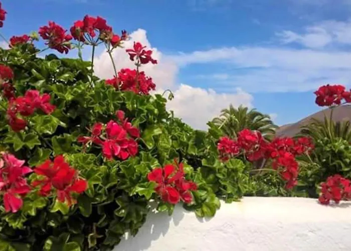 Сasa de vacaciones Cozy House In + Terrace