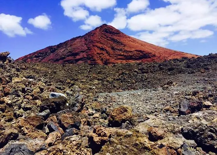 Dom wakacyjny Cozy House In + Terrace