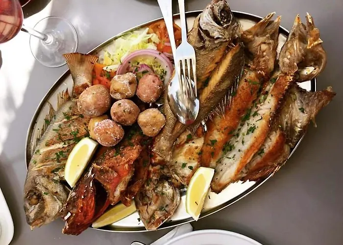 Cozy House In + Terrace