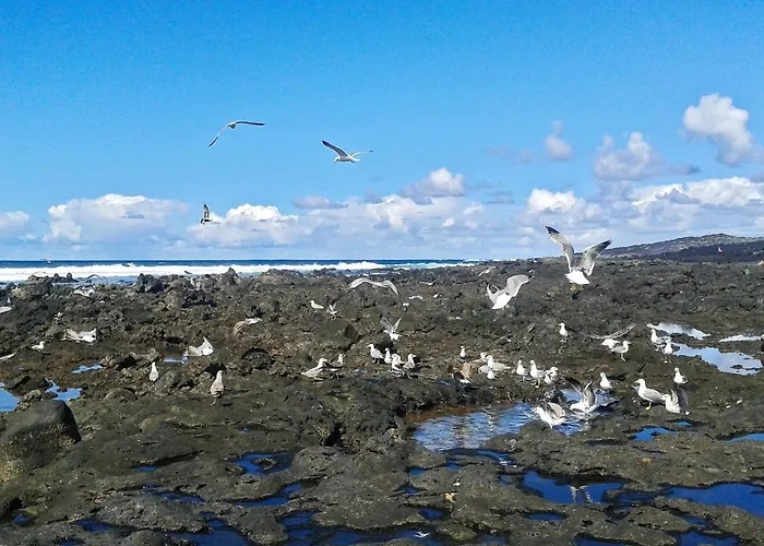 Сasa de vacaciones Cozy House In + Terrace El Golfo