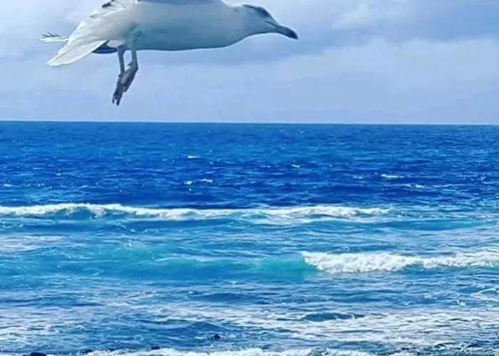 Cozy House In + Terrace *