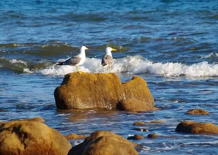 בית נופש Cozy House In + Terrace